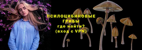 герыч Арсеньев