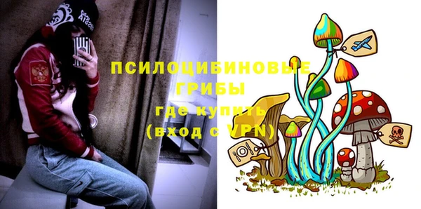 молекула духа Аркадак
