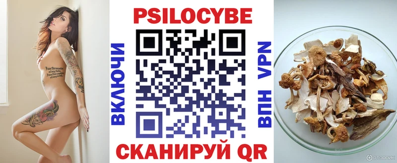 Псилоцибиновые грибы GOLDEN TEACHER  Камень-на-Оби 